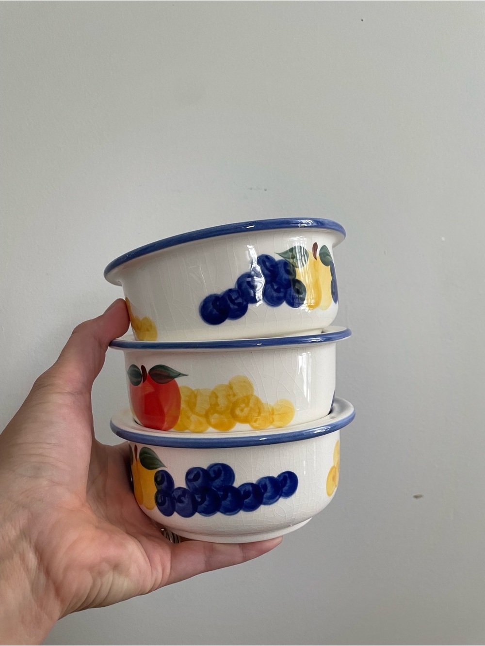 6 Bowls Dansk Salad Bowls - Rustic - Cottage Core - Hand Painted - 6 total